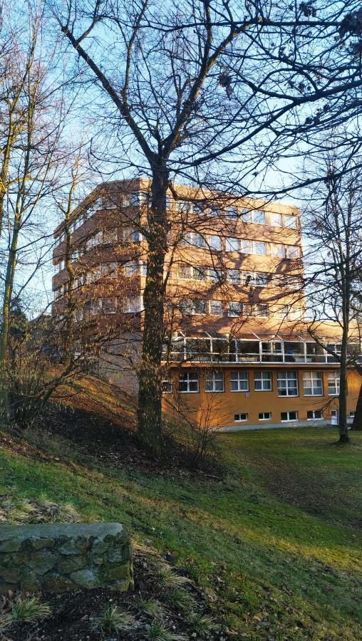 Parkhotel Sokolov Kültér fotó